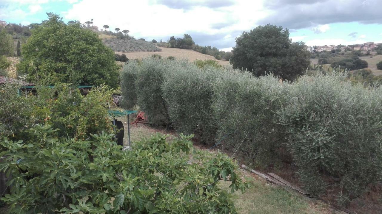 Agriturismo Cerquaglia Villa Todi Bagian luar foto